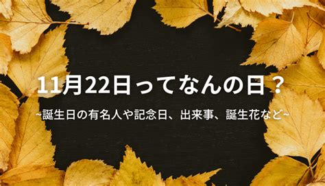 11 月 22 日|11月22日